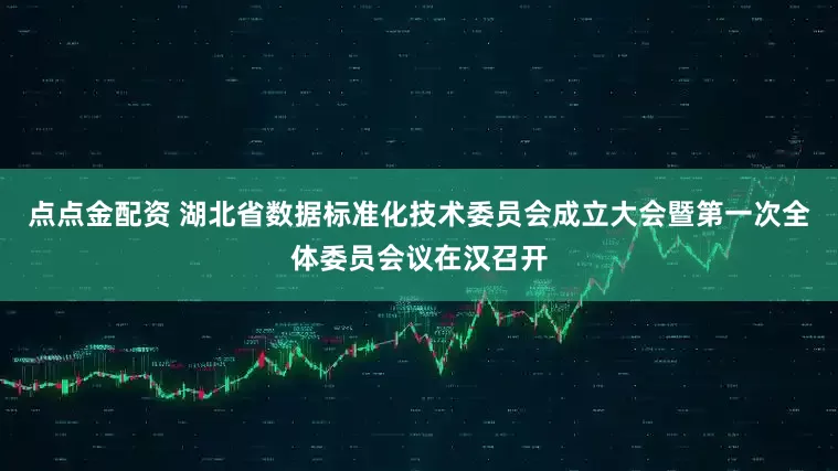点点金配资 湖北省数据标准化技术委员会成立大会暨第一次全体委员会议在汉召开