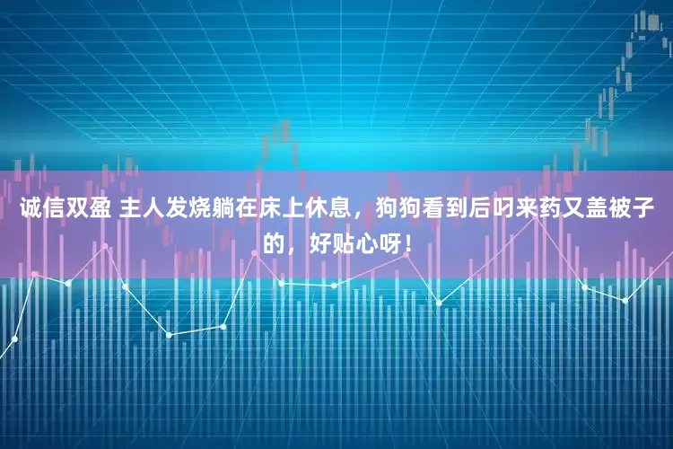 诚信双盈 主人发烧躺在床上休息，狗狗看到后叼来药又盖被子的，好贴心呀！