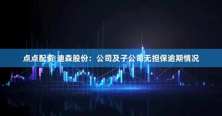 点点配资 迪森股份：公司及子公司无担保逾期情况