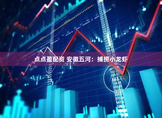 点点盈配资 安徽五河：捕捞小龙虾