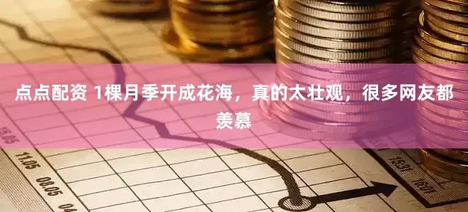 点点配资 1棵月季开成花海，真的太壮观，很多网友都羡慕